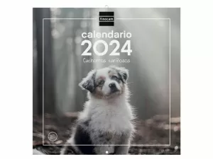 2024 * CALENDARIO PARED 30X30 CACHORROS