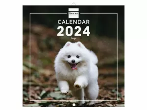 2024 * WALL CALENDAR 18X18 DOGS