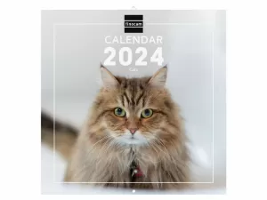 2024 * WALL CALENDAR 30X30S