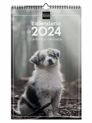 2024 * CALENDARIO PARED ESPIRAL 25X40 CACHORROS