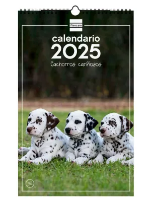 2025 * CALENDARIO PARED ESP 25X40 CACHORROS