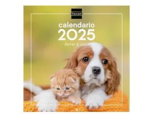 2025 * CALENDARIO PARED 30X30 PERROS Y GATOS