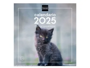 2025 * CALENDARIO PARED 30X30 GATITOS