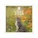 2026 CALENDARIO PARED 30X30 GATITOS