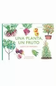 UNA PLANTA UN FRUTO