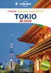 TOKIO DE CERCA 5