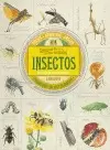 COLECCIÓN DE CURIOSIDADES. INSECTOS