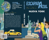 NUEVA YORK.ESCAPADA AZUL 18