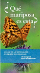 QUE MARIPOSA ES ESTA