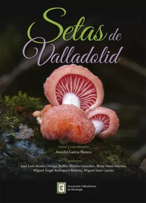 SETAS DE VALLADOLID