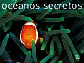 OCÉANOS SECRETOS