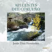 AFLUENTES DEL CURUEÑO