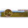 MAPA CAMINO DE SANTIAGO POSTER