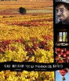 VIAJE INTERIOR POR LA PROV BIERZO+DVD
