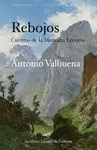 REBOJOS