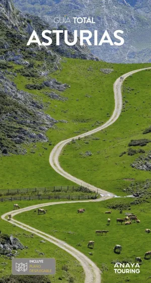 ASTURIAS.GUIA TOTAL    25