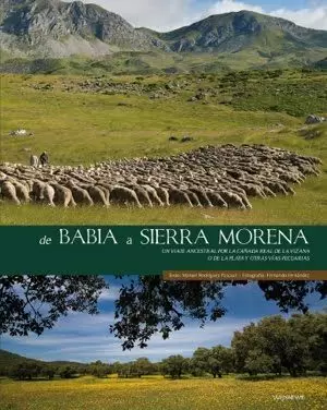 DE BABIA A SIERRA MORENA