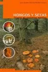 HONGOS Y SETAS