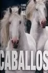 CABALLOS XL